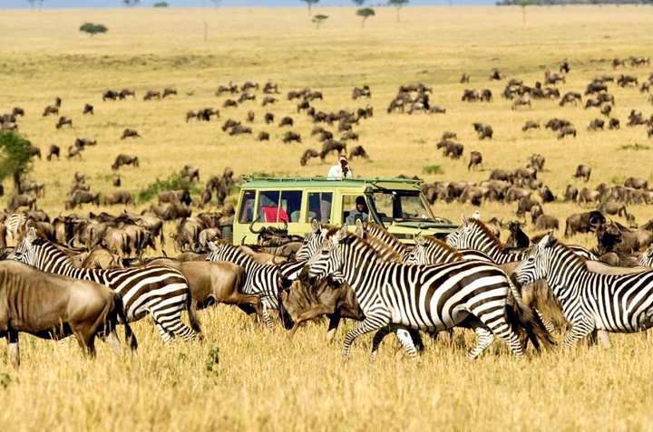 Du lịch Châu Phi 8 ngày khám phá Kenya từ Sài Gòn giá tốt